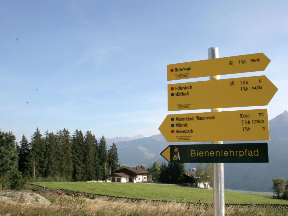 Holiday Home With Snow Covered Views Hollersbach im Pinzgau Esterno foto